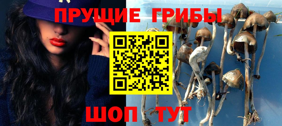 Галлюциногенные грибы прущие грибы  Вход с VPN  Гусиноозёрск  Галлюциногенные грибы Cubensis 